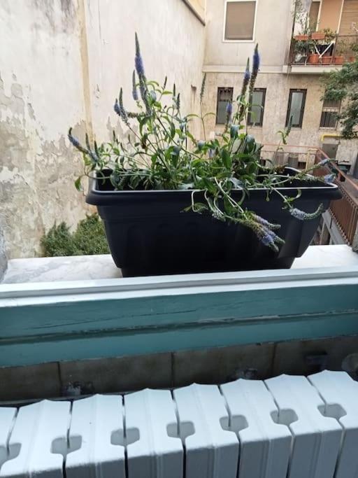 Apartamento Il Grande Blu Milán Exterior foto